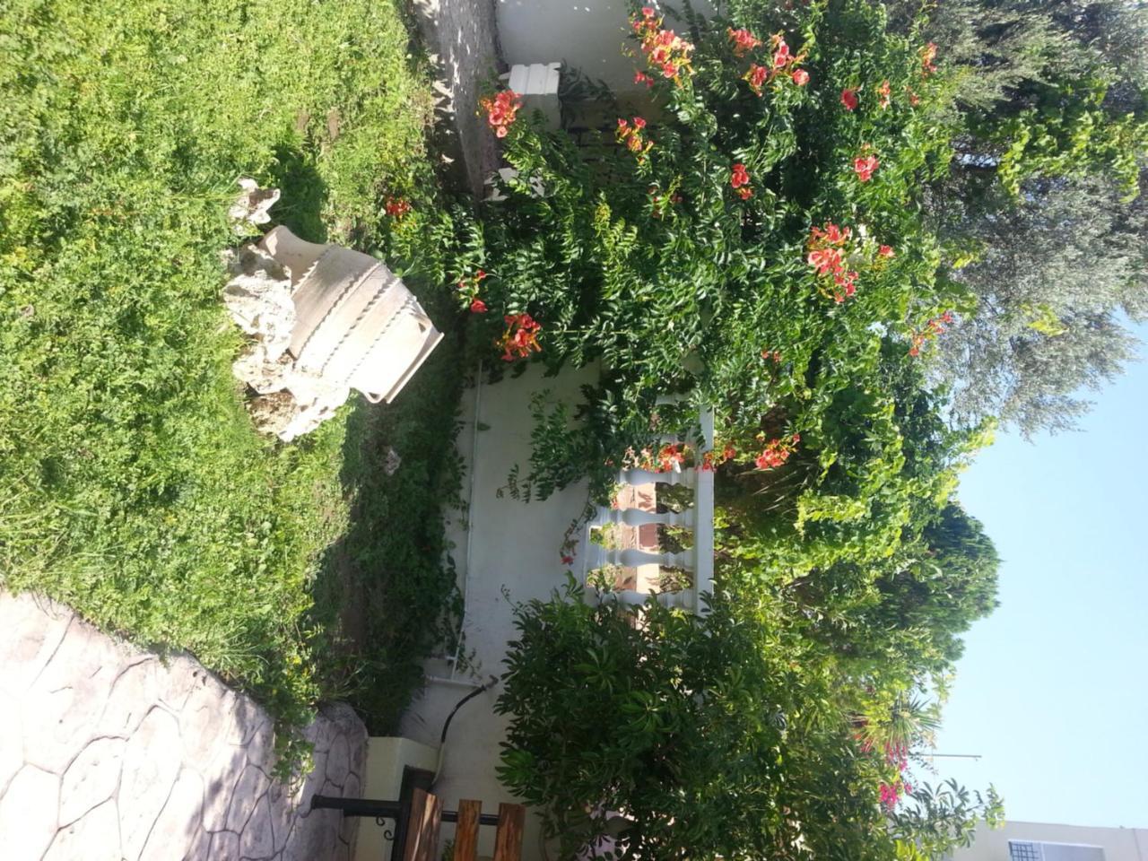 Faliraki Mike'S House Hotel Ngoại thất bức ảnh